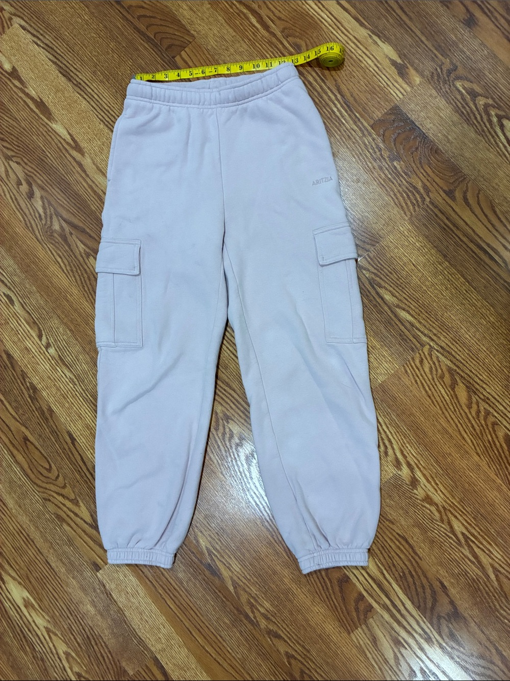 Aritzia Cargo Mega Sweatpant